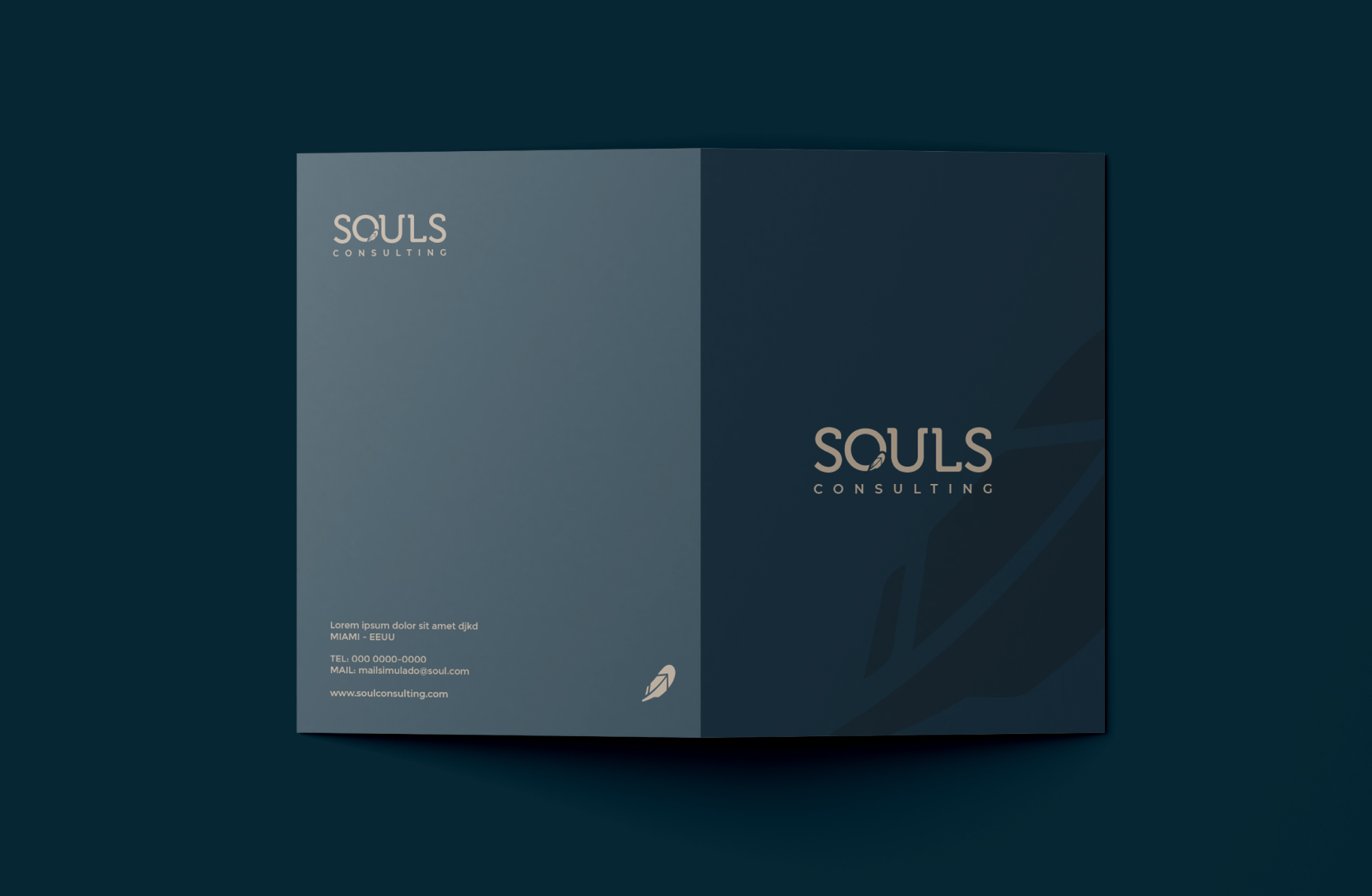 Souls Consulting